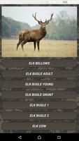 Deer hunting calls poster