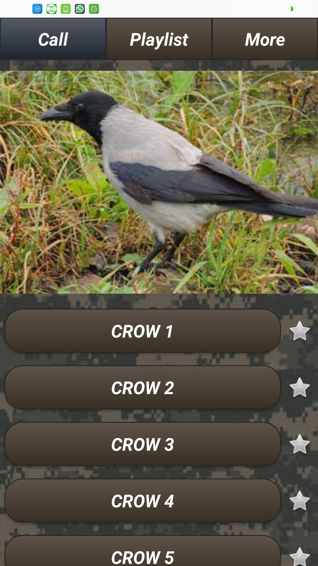 Pest Bird Caller For Android Apk Download - the birdcaller roblox