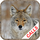Coyote hunting calls biểu tượng