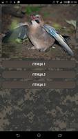 Coyote hunting calls screenshot 1