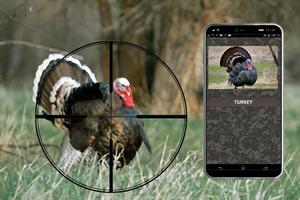 Turkey calls 海報