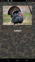 Turkey calls 截圖 1