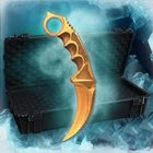 SO2's Case Simulator icon