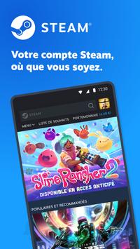 Steam Affiche