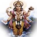 Dhanvantari 108 Potri aplikacja