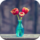 Vase Wallpaper HD APK