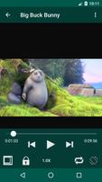 Simple Video Player screenshot 1