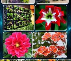3 Schermata varie piante da fiore