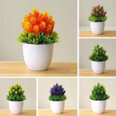 varias plantas ornamentales APK