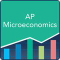 AP Microeconomics Practice