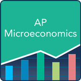 AP Microeconomics Practice иконка