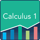 APK Calculus 1: Practice & Prep