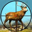 Wild Animal Safari Shooting 3D