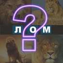 4 сурт 1 дош APK