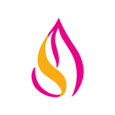 Pocket Law APK