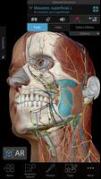 Human Anatomy Atlas 2019 for Springer bài đăng