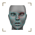 FaceLock icône