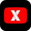 X Video Downloader - Download