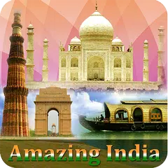 Скачать Amazing India APK