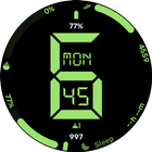 Segmented - watchface ikon