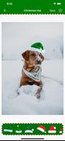 Christmas Hat - Photo Stickers ภาพหน้าจอ 1