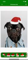 Christmas Hat - Photo Stickers ภาพหน้าจอ 2