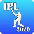 Indian T20- Teams,Schedule,Auction & Score