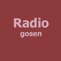 Radio gosen