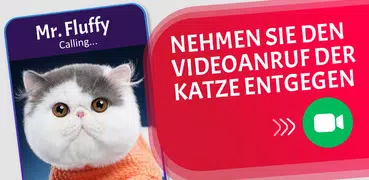 Katze gefälschte Videoanrufe