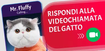 Gatto falso Video chiamate