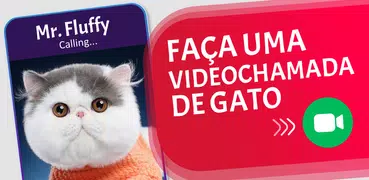 Cat Fake Video Calls and Chat