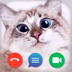 Cat Video Call & Chat Prank XAPK download