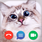 Cat Fake Video Calls and Chat-icoon