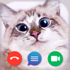 Cat Fake Video Calls and Chat ícone