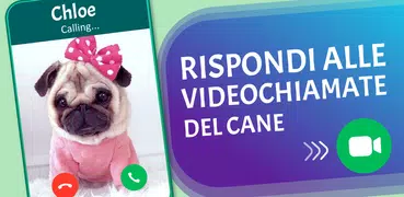 Chiamate False Cani