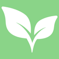 ”Vegan Recipes & Meal Plan