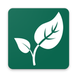 Wegan - Vegan & Gluten-free Desserts 🍃