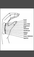 Cours d’acupuncture capture d'écran 3