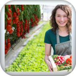 كيفية زراعة الخضروات