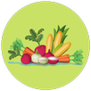 Vegetable Name Typing and Quiz APK