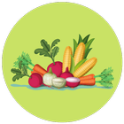 Vegetable Name Typing and Quiz icon