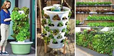 Идеи для овощного сада