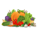 Vegetables Quiz & Spelling APK