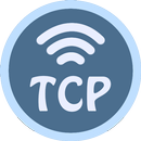 TCP Socket APK