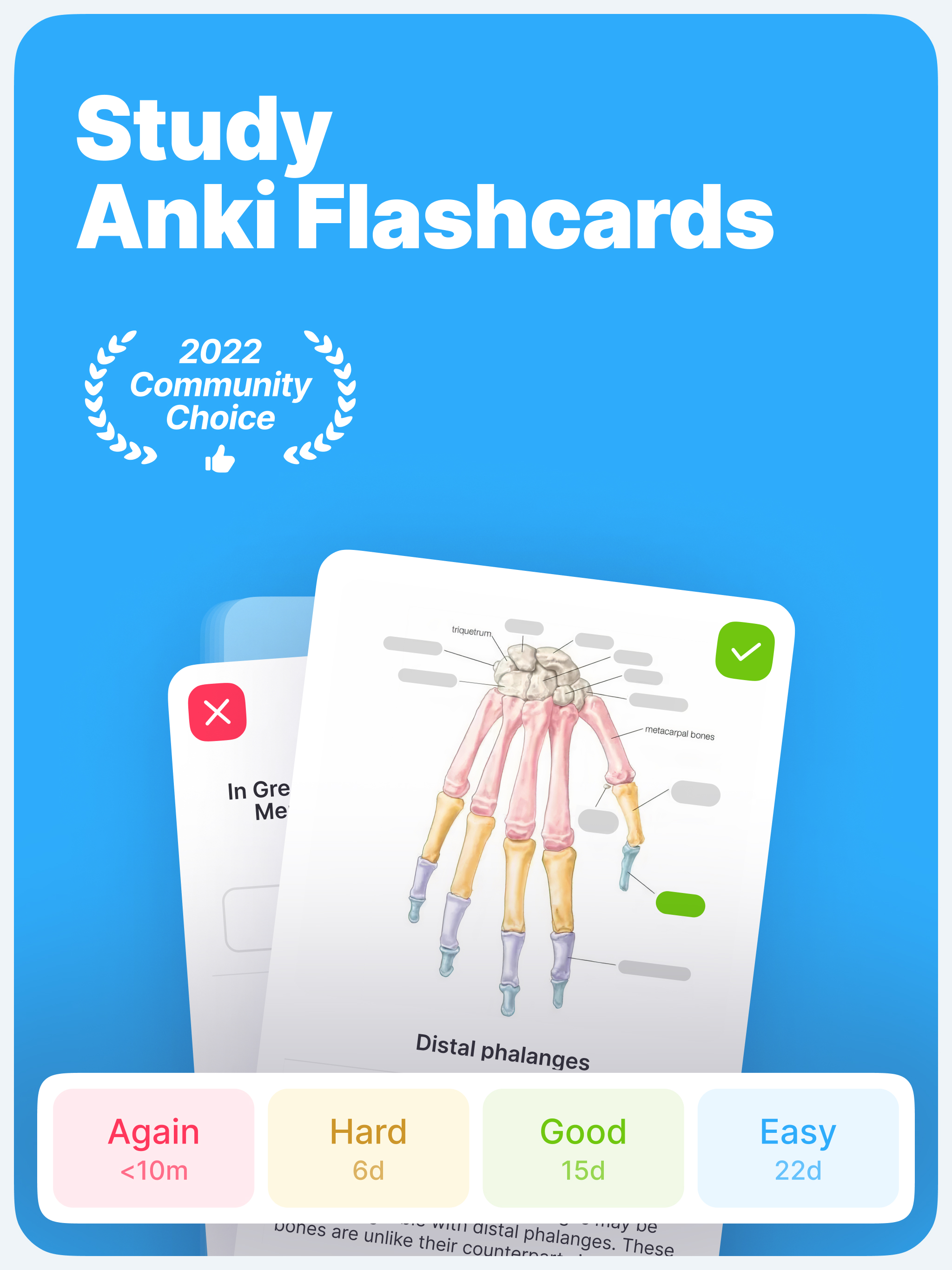 Anki Pro Study Flashcards APK 1.19.1 for Android Download Anki Pro Study Flashcards XAPK