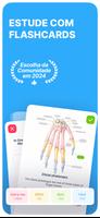 Noji: Flashcards de Estudo Cartaz