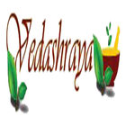 Vedashops icon