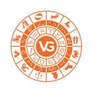 VG Partner APK
