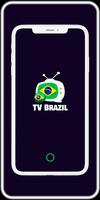 Tv Brasil Ao Vivo Ekran Görüntüsü 1