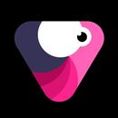 Velomingo Edit Maker APK